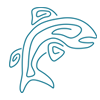 whale-ocean